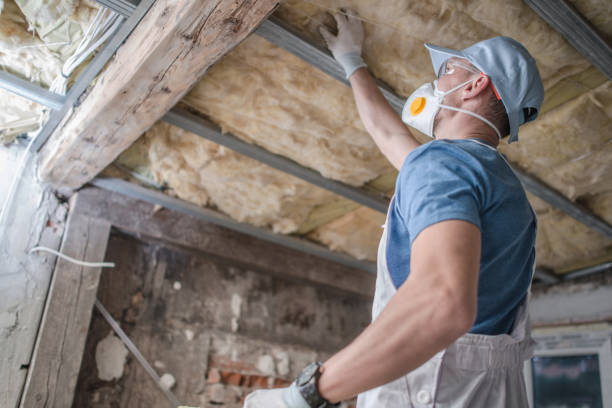 Insulation Repair Services in Palmyra, WI