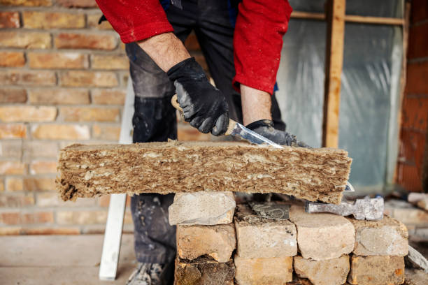 Insulation Replacement Services in Palmyra, WI